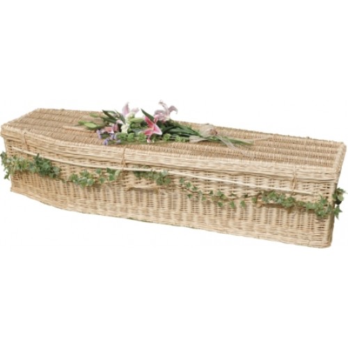 Autumn Gold Creamy-White Wicker / Willow (Traditional) Coffin **Unique & Special**